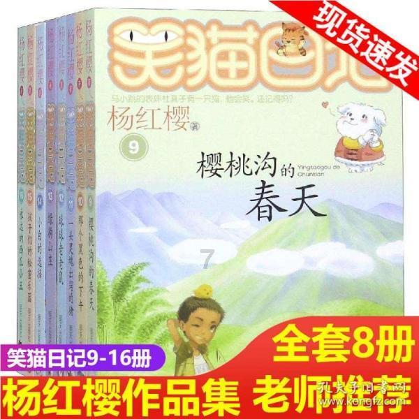 一个大问题